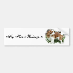 Cavalier King Charles Spaniel Bumpersticker