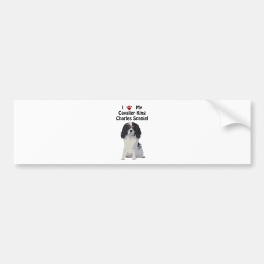 Cavalier King Charles Spaniel Bumpersticker (Voorkant)