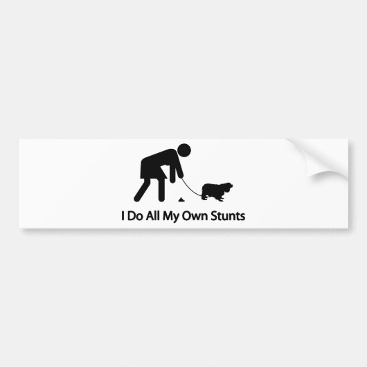 Cavalier King Charles Spaniel Bumpersticker (Voorkant)