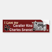 Cavalier King Charles Spaniel Bumpersticker (Voorkant)