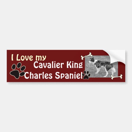 Cavalier King Charles Spaniel Bumpersticker (Voorkant)