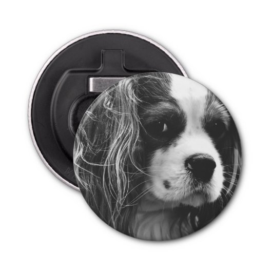 Cavalier King Charles Spaniel Button Flesopener (Voorkant)