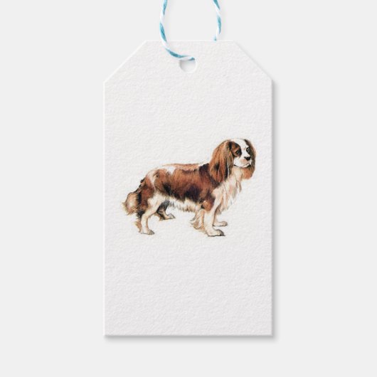 Cavalier King Charles Spaniel Cadeaulabel (Voorkant)