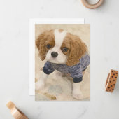 Cavalier King Charles Spaniel card Notitiekaartje (Voorkant / Achterkant in situ)