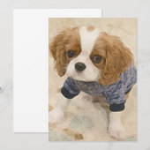 Cavalier King Charles Spaniel card Notitiekaartje (Voorkant / Achterkant)