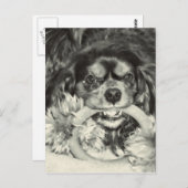 Cavalier King Charles Spaniel Chew Bone Briefkaart (Voorkant / Achterkant)