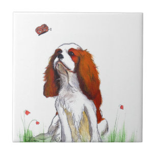 Cavalier King Charles Spaniel CKC Tegeltje