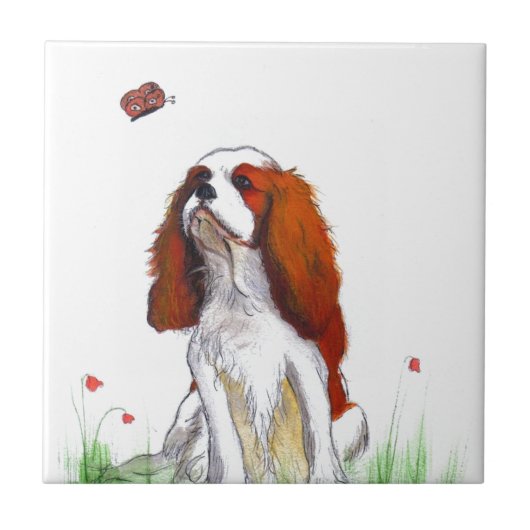 Cavalier King Charles Spaniel CKC Tegeltje (Voorkant)