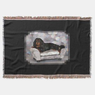 Cavalier King Charles Spaniel - Cornelius Deken