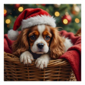 Cavalier King Charles Spaniel Cozy Basket Perfect Poster (Voorkant)