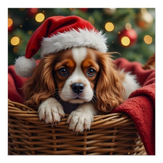 Cavalier King Charles Spaniel Cozy Basket Perfect Poster (Voorkant)