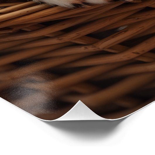 Cavalier King Charles Spaniel Cozy Basket Perfect Poster (Hoek)