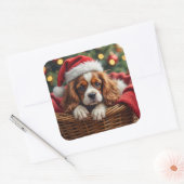 Cavalier King Charles Spaniel Cozy Basket Vierkante Sticker (Envelop)