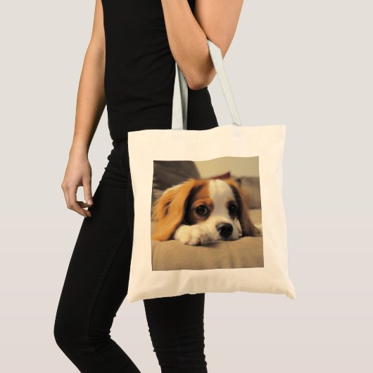 Cavalier King Charles Spaniel Cuddling Tote Bag (Voorkant (product))