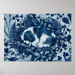 Cavalier King Charles Spaniel Cyanotype Botanisch  Poster