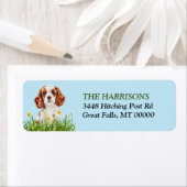 Cavalier King Charles Spaniel Daffodil Garden Etiket (Insitu)