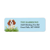 Cavalier King Charles Spaniel Daffodil Garden Etiket (Voorkant)