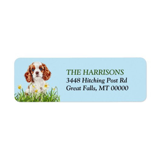 Cavalier King Charles Spaniel Daffodil Garden Etiket (Voorkant)