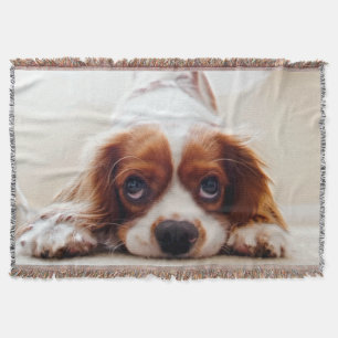 Cavalier King Charles Spaniel Deken