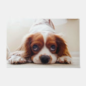 Cavalier King Charles Spaniel Deurmat (Voorkant)
