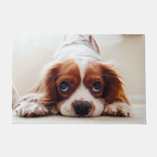 Cavalier King Charles Spaniel Deurmat (Voorkant)