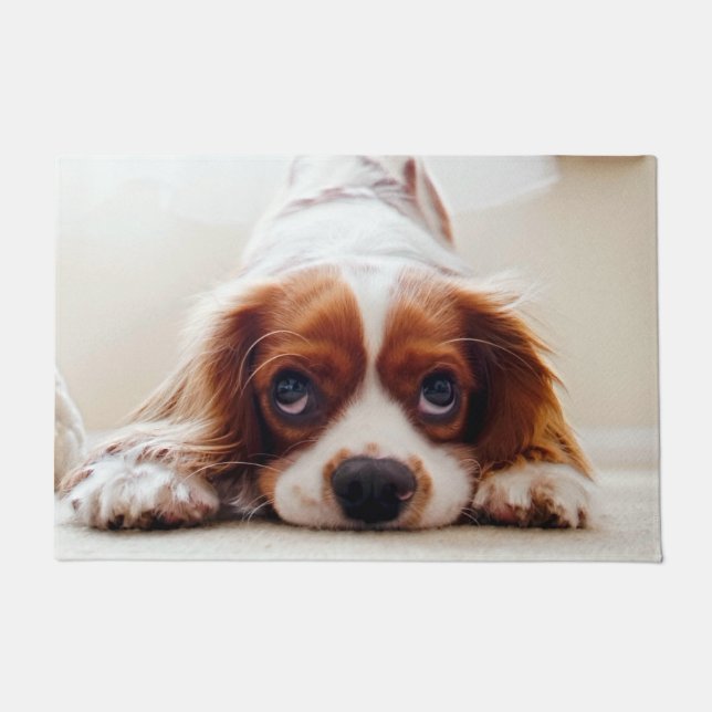 Cavalier King Charles Spaniel Deurmat (Voorkant)