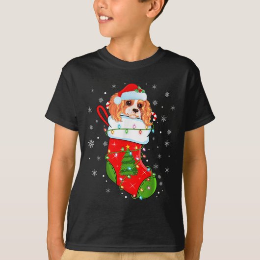 Cavalier King Charles Spaniel Dog in kerstmis Soc T-shirt (Voorkant)