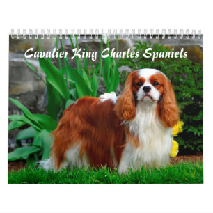 Cavalier King Charles Spaniel Dog Kalender