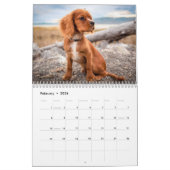 Cavalier King Charles Spaniel Dog Kalender (Feb 2026)
