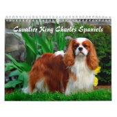 Cavalier King Charles Spaniel Dog Kalender (Hoes)