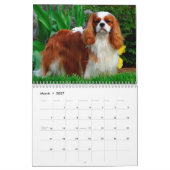 Cavalier King Charles Spaniel Dog Kalender (Mar 2027)