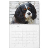 Cavalier King Charles Spaniel Dog Kalender (Jan 2027)