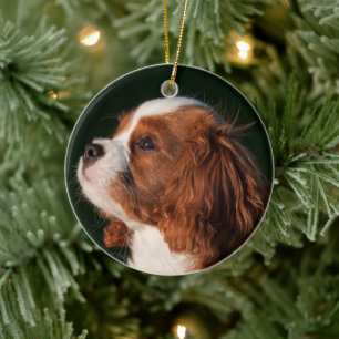 Cavalier King Charles Spaniel Dog Keramisch Ornament