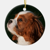Cavalier King Charles Spaniel Dog Keramisch Ornament (Voorkant)