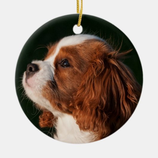 Cavalier King Charles Spaniel Dog Keramisch Ornament (Voorkant)