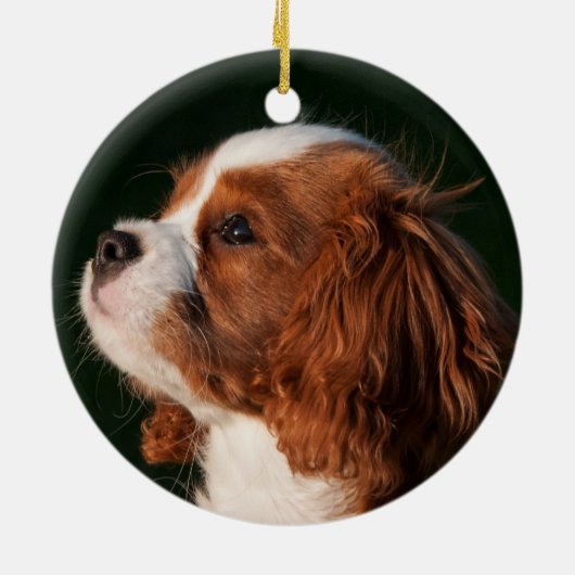 Cavalier King Charles Spaniel Dog Keramisch Ornament (Achterkant)