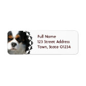 Cavalier King Charles Spaniel Dog Mailing Label (Voorkant)