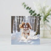 Cavalier King Charles Spaniel Dog Merry Kerstmis Feestdagenkaart (Staand voorkant)
