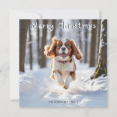 Cavalier King Charles Spaniel Dog Merry Kerstmis Feestdagenkaart (Voorkant)