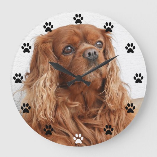 Cavalier King Charles Spaniel Dog - Pauw Print Tim Grote Klok (Voorkant)