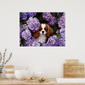 Cavalier King Charles Spaniel Dog Poster (Keuken)