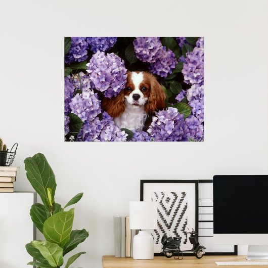 Cavalier King Charles Spaniel Dog Poster (Thuiskantoor)