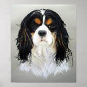 Cavalier King Charles Spaniel Dog Poster Print (Voorkant)