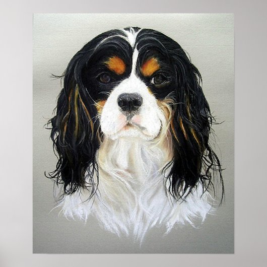 Cavalier King Charles Spaniel Dog Poster Print (Voorkant)