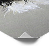 Cavalier King Charles Spaniel Dog Poster Print (Hoek)