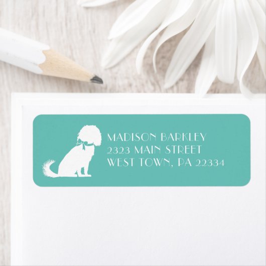 Cavalier King Charles Spaniel Dog Puppy Etiket (Insitu)