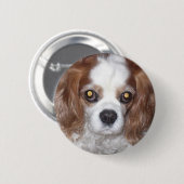 CAVALIER KING CHARLES SPANIEL DOG RONDE BUTTON 5,7 CM (Voorkant /achterkant)