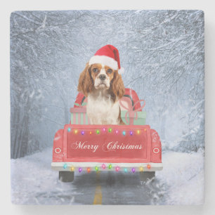 Cavalier King Charles Spaniel Dog Snow kerst Stenen Onderzetter
