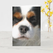 Cavalier King Charles Spaniel Dog Wenskaart Kaart (Gele Bloem)