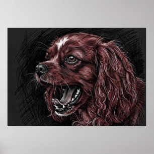 Cavalier King Charles Spaniel Donkere Schets Poste Poster